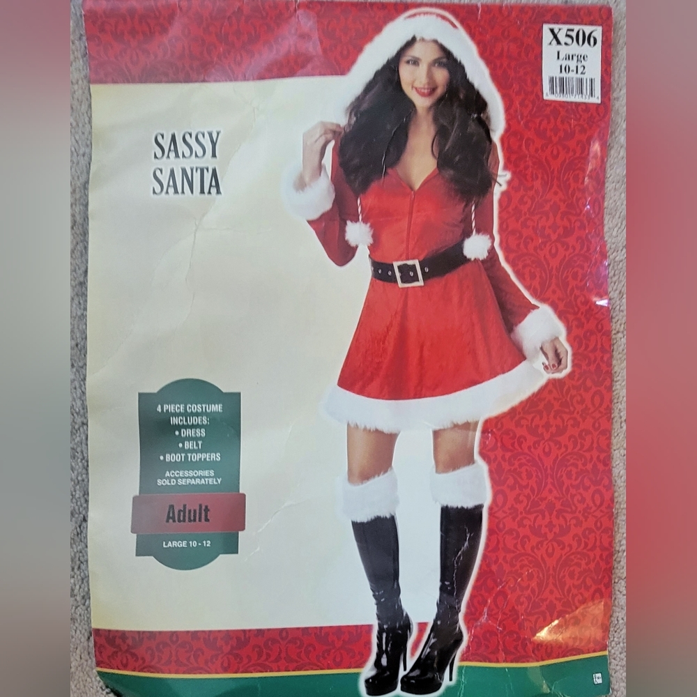 Women's Sassy Santa Mini Dress Costume